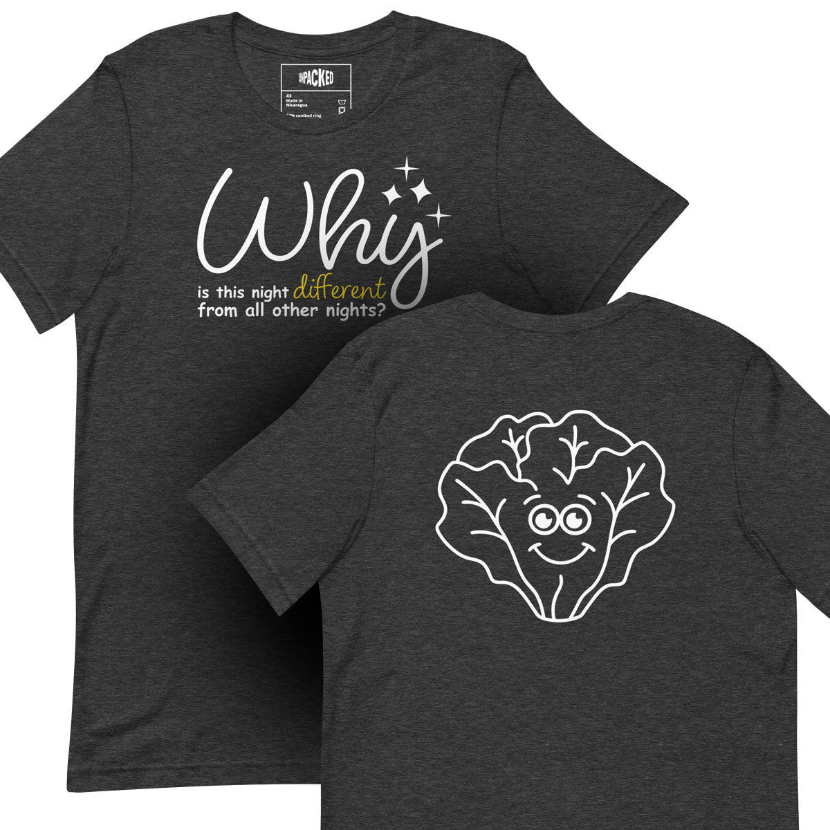 4 Questions Passover Tee